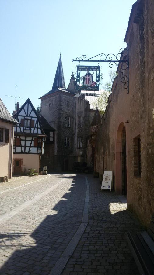 Naova Cosy Studio Kaysersberg-Vignoble Exterior foto